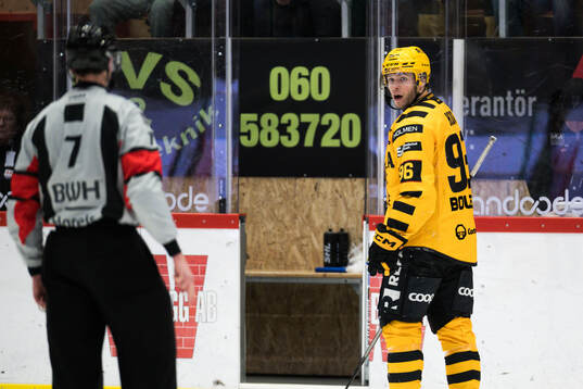 Skellefteås Rickard Hugg