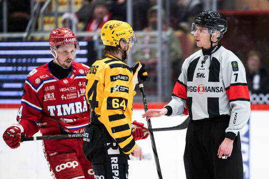 Skellefteås Jonathan Pudas diskuterar med domaren