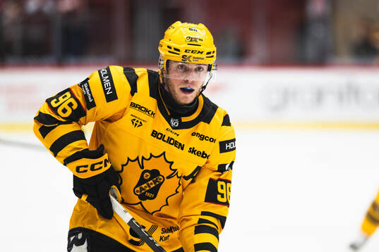 Skellefteås Rickard Hugg