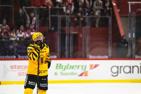 Skellefteås Oliver Okuliar