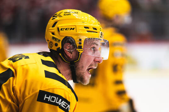 Skellefteås Jonathan Pudas