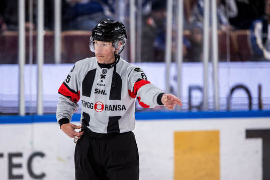 Domare Tobias Björk