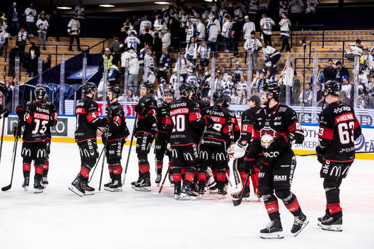 Malmö Redhawks spelarna jublar