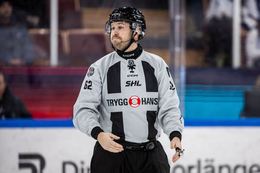 Linjedomare Peter Almerstedt