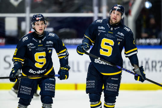 Södertäljes Wilhelm Hallquisth och Jonas Ahnelöv deppar