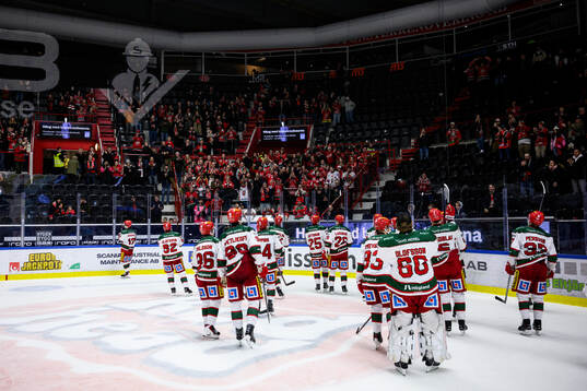 Modos spelare jublar med supportrar