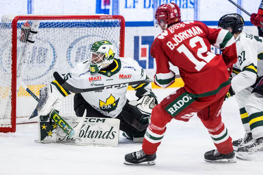 Östersunds målvakt Daniel Rosengren