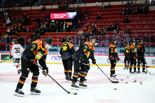 Brynäs spelare