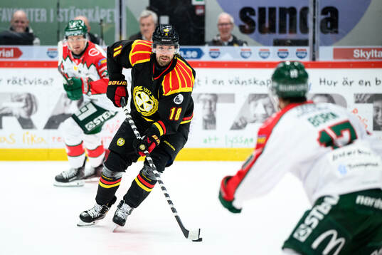 Brynäs Anton Rödin