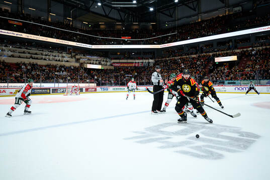 Brynäs Kieffer Bellows