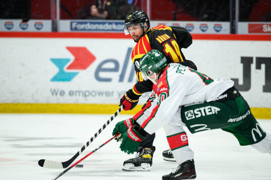 Brynäs Anton Rödin
