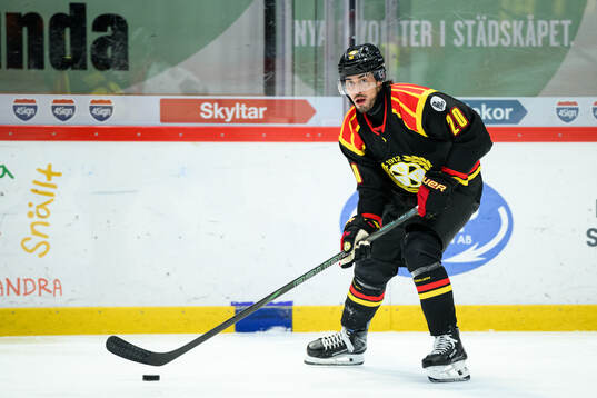 Brynäs Tyler Vesel