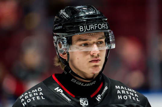 Malmö Redhawks Martin Schreiber