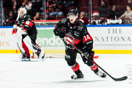 Malmö Redhawks Carl-Johan Lerby