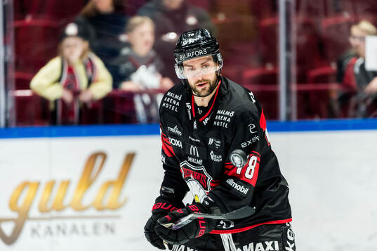Malmö Redhawks Robin Hanzl