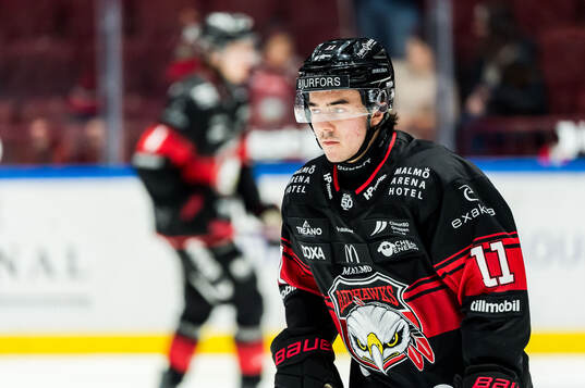 Malmö Redhawks Elia Pedrotti