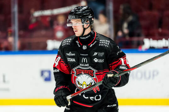 Malmö Redhawks Carl-Johan Lerby