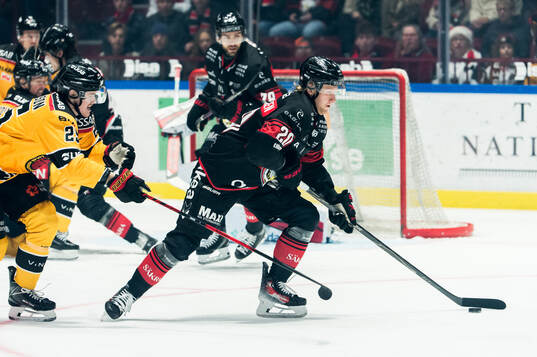 Luleås Filip Eriksson och Malmö Redhawks Thomas Berg