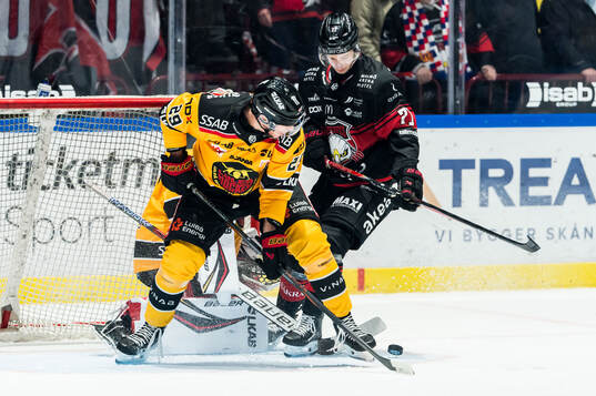 Luleås Erik Gustafsson och Malmö Redhawks Isac Nilsson