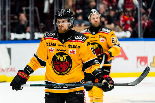 Luleås Brendan Shinnimin deppar