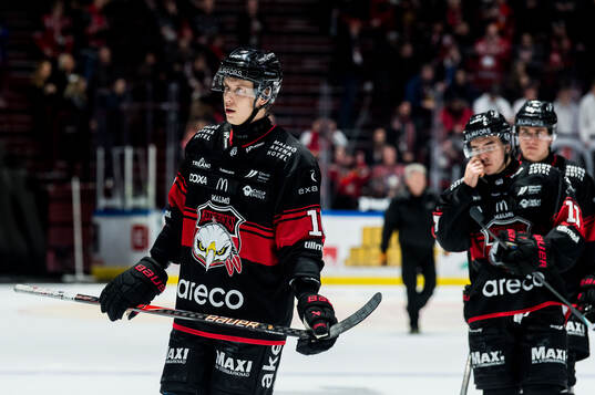 Malmö Redhawks William Von Barnekow deppar