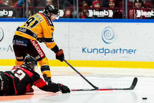 Luleås Brian O'Neill och Malmö Redhawks Robin Salo