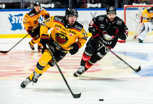 Luleås Ben Tardif och Malmö Redhawks Robin Hanzl
