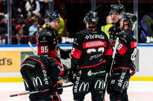 Malmö Redhawks spelare deppar