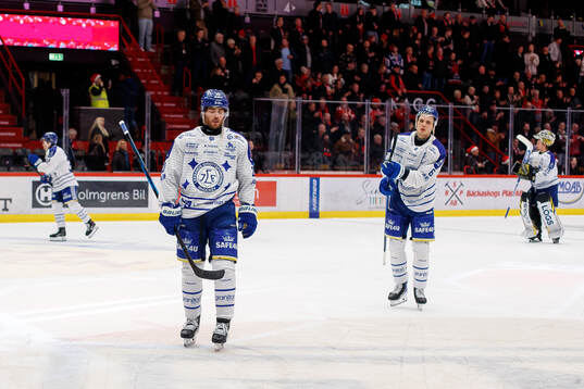 Leksands Nolan Stevens deppar