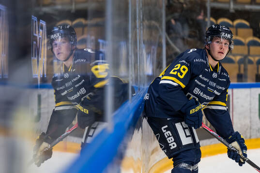 HV71s Eddie Levin