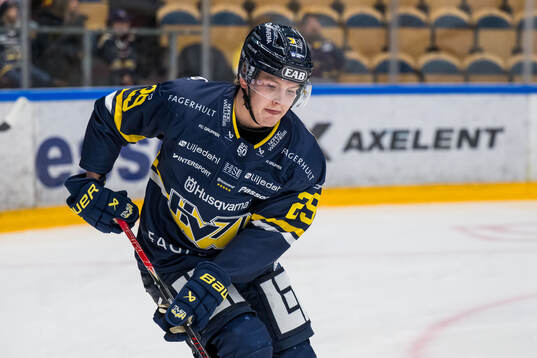 HV71s Eddie Levin