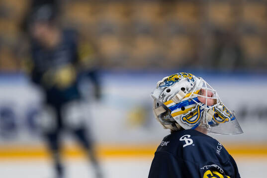 HV71s målvakt Felix Sandström