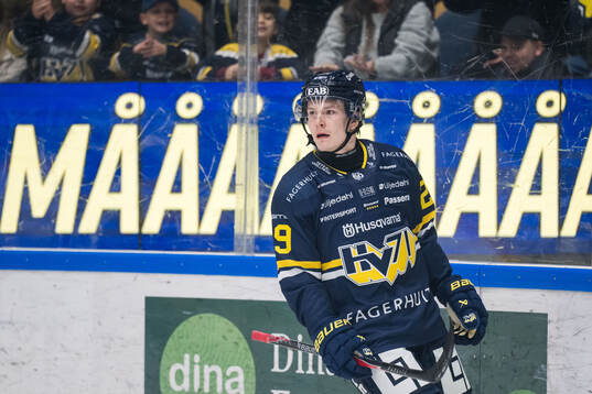 HV71s Eddie Levin jublar