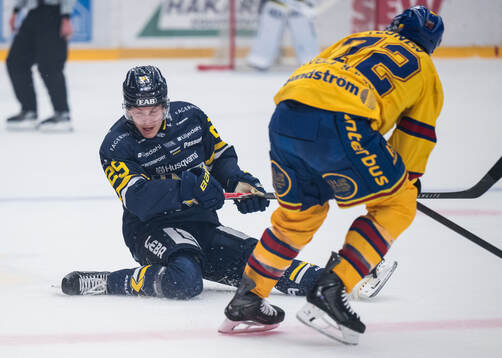 HV71s Eddie Levin