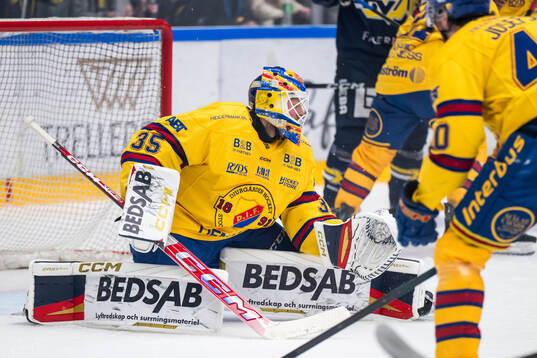 Djurgårdens målvakt Magnus Hellberg