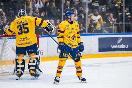 Djurgårdens målvakt Magnus Hellberg och Colby Sissons