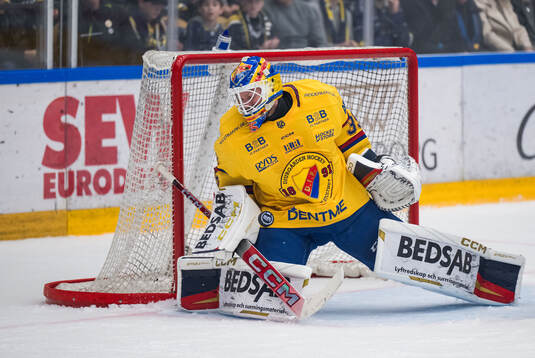 Djurgårdens målvakt Magnus Hellberg