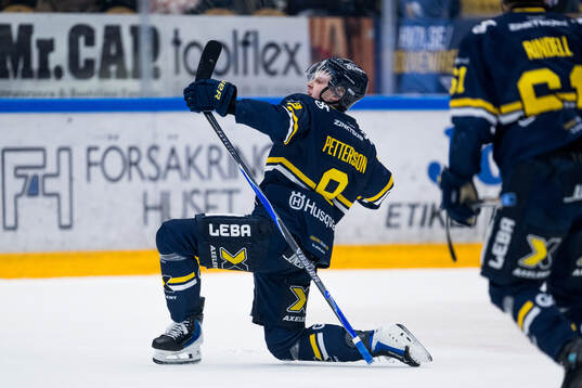 HV71s Hugo Pettersson jublar