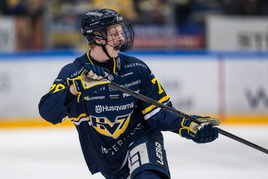 HV71s Malte Gustafsson