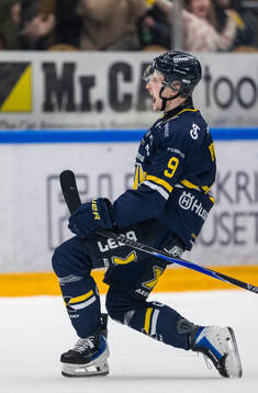 HV71s Hugo Pettersson jublar
