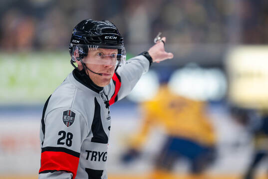Domare Mikael Holm