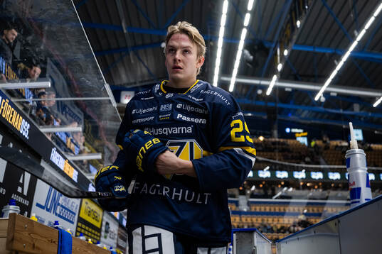 HV71s Eddie Levin