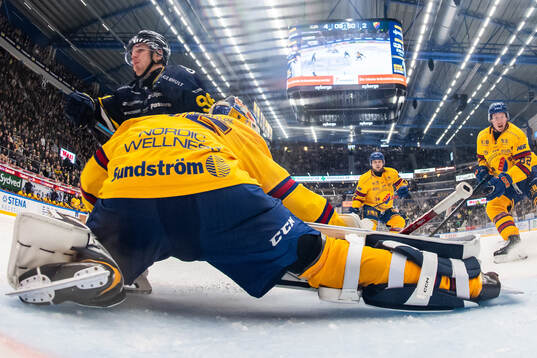 HV71s Nikola Pasic och Djurgårdens målvakt Magnus Hellberg