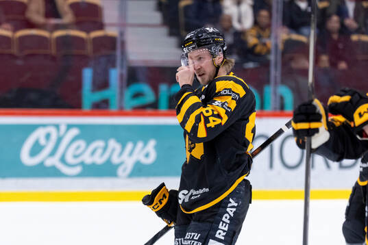 Skellefteås Jonathan Pudas deppar