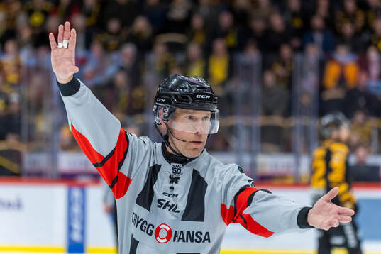 Domaren Tobias Björk