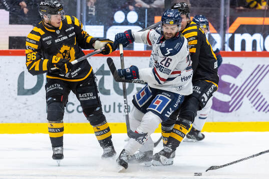Skellefteås Rickard Hugg och Linköpings Max Martin
