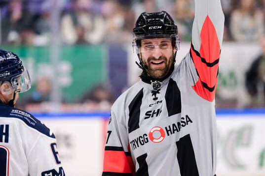 Domare Mikael Sjöqvist