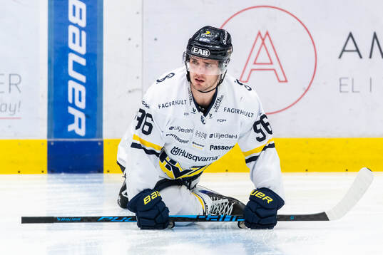 HV71s Nikola Pasic
