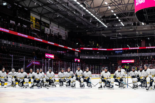 HV71s spelare