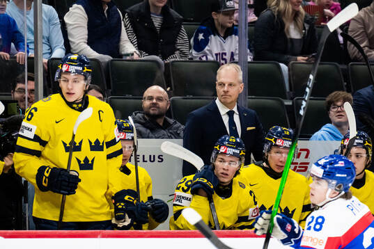 Head coach Magnus Hävelid of Sweden